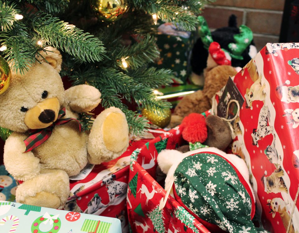 Close up of a teddy bear wearing a bow tie sitting among other Christmas gifts